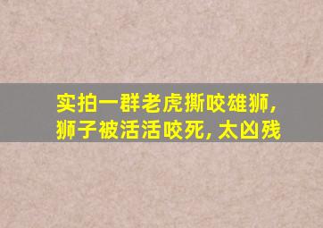 实拍一群老虎撕咬雄狮, 狮子被活活咬死, 太凶残